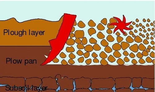 盐碱地改良过程中是否需要全部打破土壤障碍层的关键技术分析