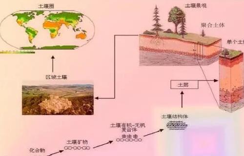 有机肥不等于土壤有机质，不是施有机肥就是增加土壤有机质