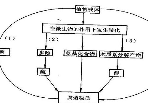 有机肥不等于土壤有机质，不是施有机肥就是增加土壤有机质