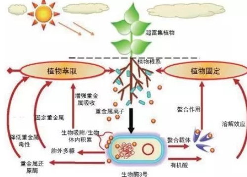 土壤健康的6个指标