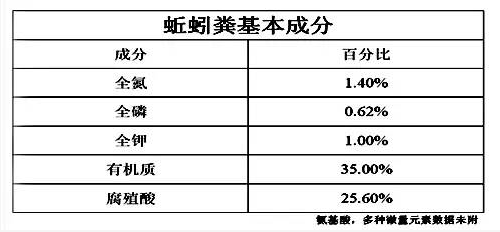 蚯蚓对土壤的3大贡献！无可替代！