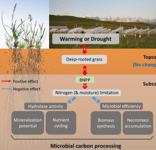 气候变化下土壤微生物“怠工”记