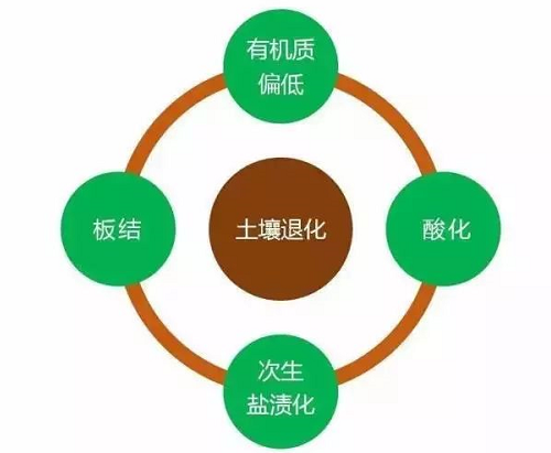 土壤“十大病害”！