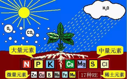 有机肥最“厉害”的地方在哪里？90%的人都不知道···