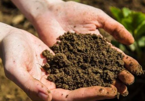 土壤营养失衡如何改善土壤，补充营养施这种肥