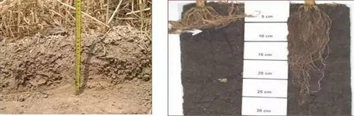 近年来，随着信息技术、生物技术、人工智能、大数据技术等发展迅猛，土壤学亟需应用这些高技术来表征土壤物