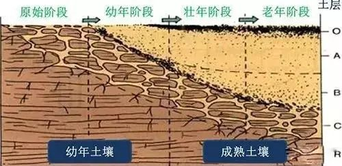 近年来，随着信息技术、生物技术、人工智能、大数据技术等发展迅猛，土壤学亟需应用这些高技术来表征土壤物