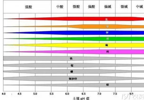 紧急通知！别施肥了，赶紧看看吧！