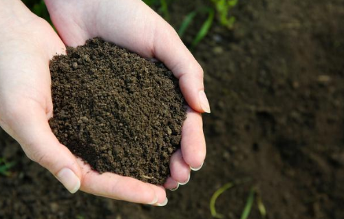 土壤调酸最好的方法：确定土壤酸碱度，采取9种方法进行改良