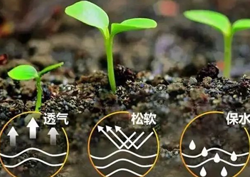 中国生物有机肥的发展现状与趋势