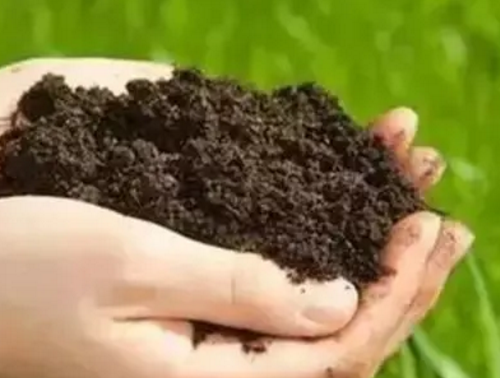 有机质--土壤生命的核心