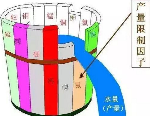 告急！我国一半的土壤缺中微量元素！别再只上氮磷钾了