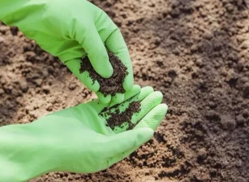 恢复土壤健康才是当下农业头等大事！