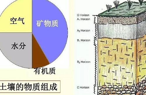 央视曝出惊人数据，估计以后没人用化肥了！