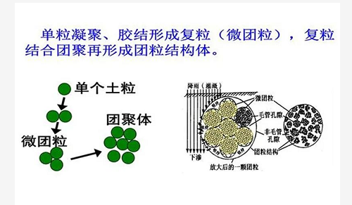 央视曝出惊人数据，估计以后没人用化肥了！