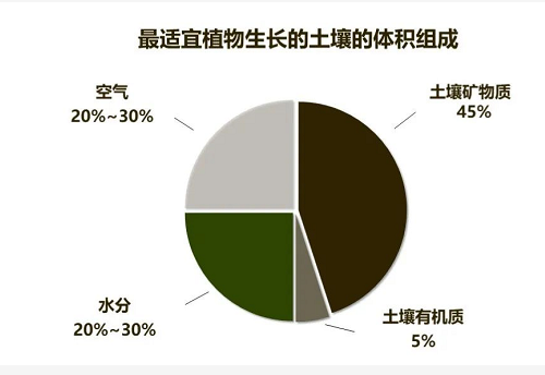 关于土壤，这些你都要知道！