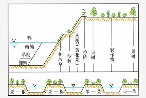 关于土壤，这些你都要知道！