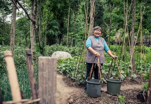 土壤与气候变化、生物多样性和粮食安全