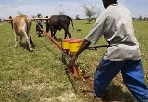 保护土壤生命力，守住耕地，刻不容缓！