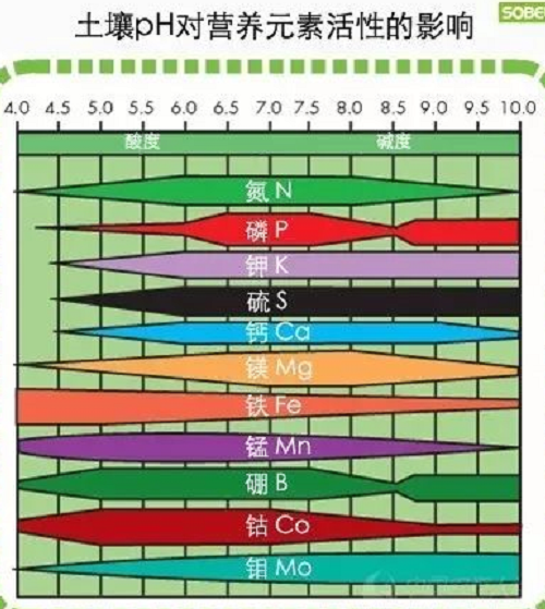 土壤酸碱度失衡有多可怕？你知道吗？