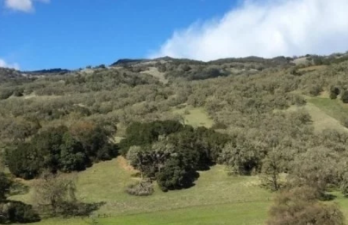 研究人员证实了植物与土壤微生物之间的复杂联系