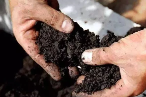 土壤有机质下降的“后果”！土壤“酸化”，作物减产的“凶手”之一!