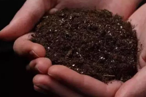 土壤有机质下降的“后果”！土壤“酸化”，作物减产的“凶手”之一!