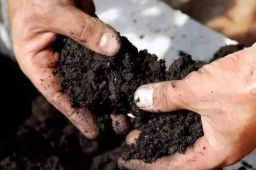 土壤“酸化”，作物减产的“凶手”之一!