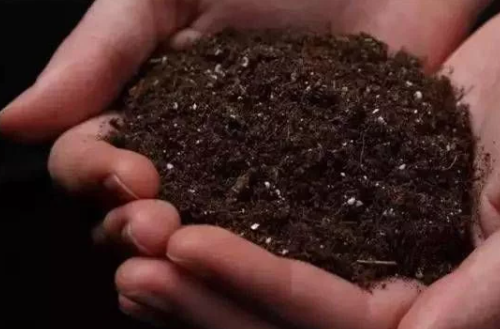 土壤“酸化”，作物减产的“凶手”之一!