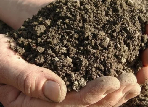 不懂土壤，用的肥用的药都是浪费！土壤看得见摸得着，但很多人不了解！搞懂4点，作物增产不用愁