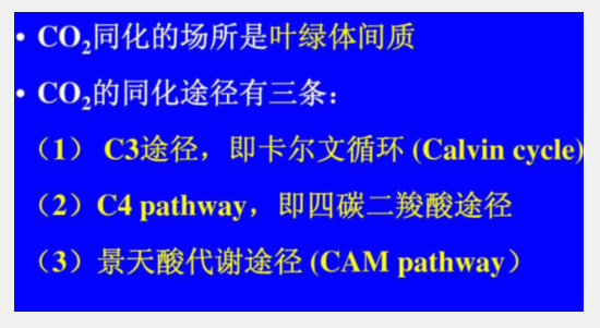 王根礼：碳同化是实现碳氢核肥碳中和的根本途径