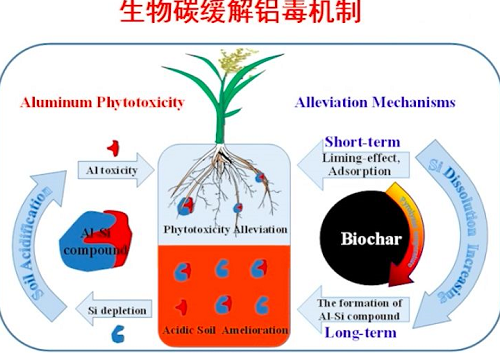 陈宝梁：向自然学习土壤污染防治