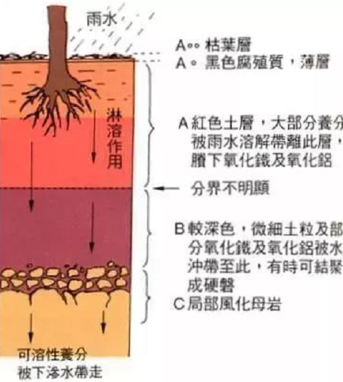 不懂土壤，你用再多肥再多药都是浪费！