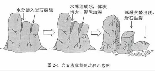 不懂土壤，你用再多肥再多药都是浪费！