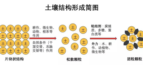 不懂土壤，你用再多肥再多药都是浪费！