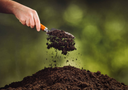 万物土中生，土壤环境在持续恶化，专家呼吁：救救土壤