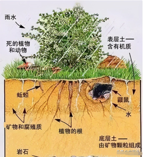 土壤有机质最全解读