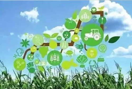 农业新发展！“互联网+农业”到底能做什么？