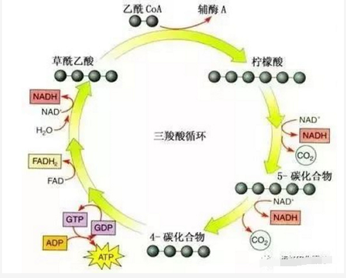 影响作物根系生长的三大要素！（非常重要）