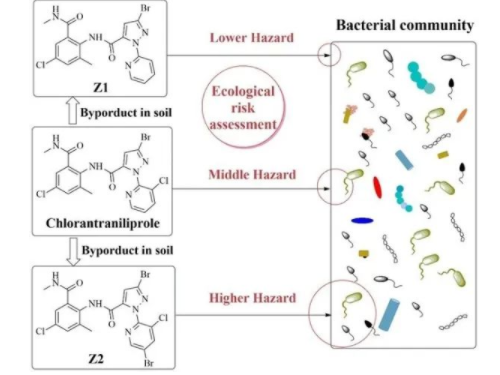 新型农药的土壤生态安全影响研究获进展
