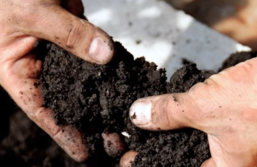 听说“冬施肥”是恢复土壤肥力, 提高来年收成的利器, 具体怎么回事……