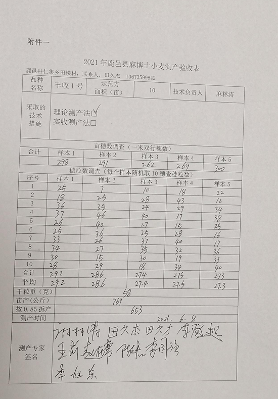 数据不会说谎！用微生物菌肥，河南多地小麦创高产