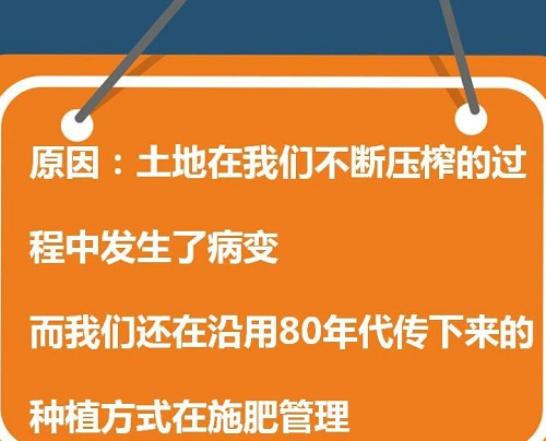 死心吧！土壤都坏了，再不改，庄稼肯定没救了！