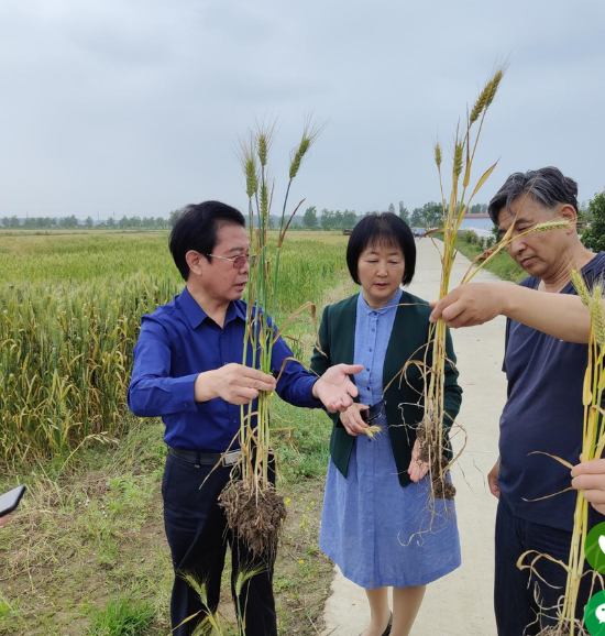 万正主持中国碳氢农业碳中和事业河南省大局