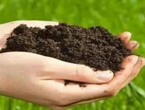 提醒：土壤中的它，比氮磷钾更重要！90%的人都不懂！