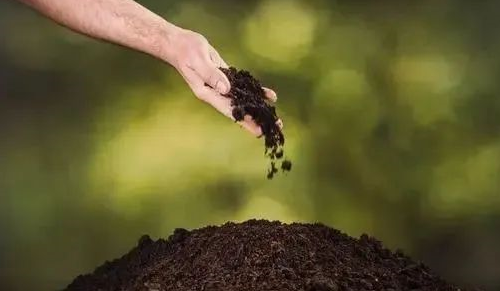 什么是土壤微生物?它对土壤改良及作物生长有什么影响?