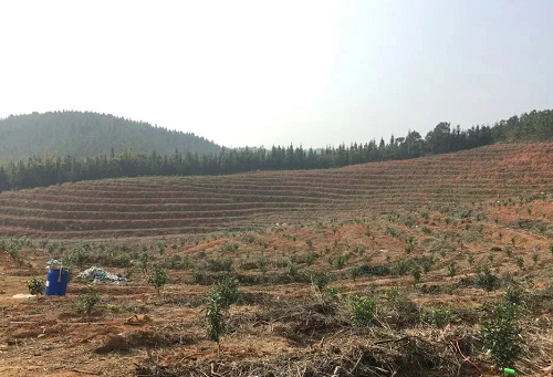 终于来了！《建设用地土壤污染风险管控和修复从业单位和个人执业情况信用记录管理办法（试行）》