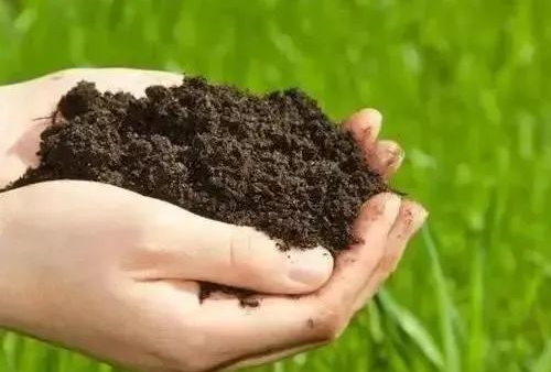 掌握这三种3种土壤特点，对优质高产栽培很关键！