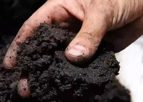 掌握这三种3种土壤特点，对优质高产栽培很关键！