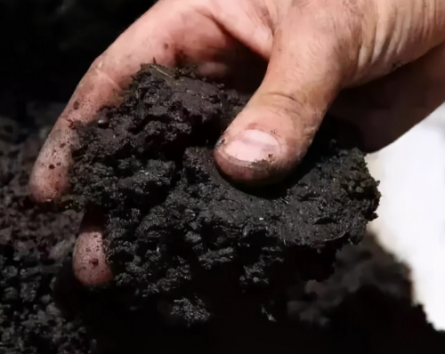 掌握这三种3种土壤特点，对优质高产栽培很关键